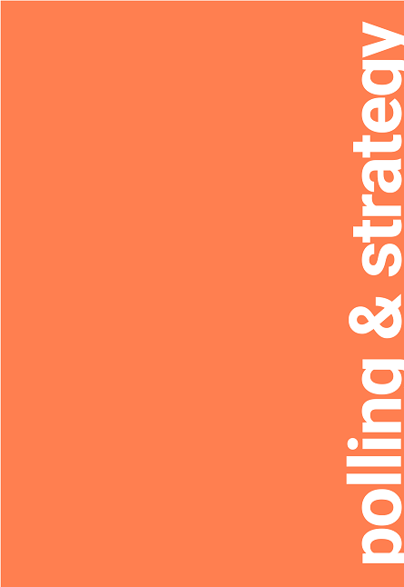 vertical orange1